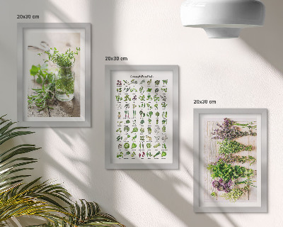 Framed triptych Dried plants for the kitchen herb list