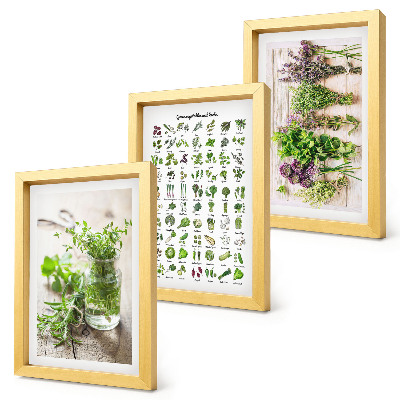 Framed triptych Dried plants for the kitchen herb list