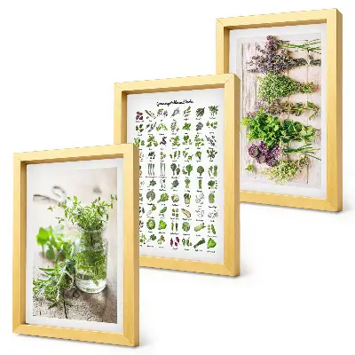 Dried plant herb list triptych framed wall art