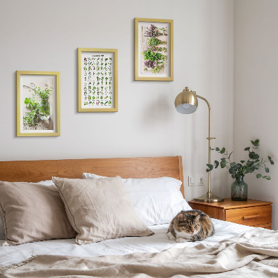 Framed triptych Dried plants for the kitchen herb list