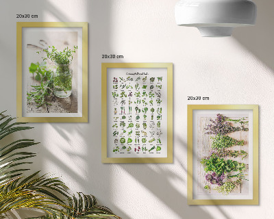 Framed triptych Dried plants for the kitchen herb list