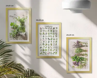 Dried plant herb list triptych framed wall art