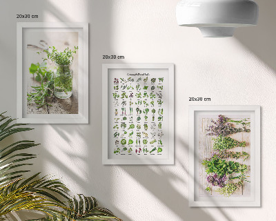 Framed triptych Dried plants for the kitchen herb list