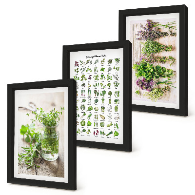 Framed triptych Dried plants for the kitchen herb list
