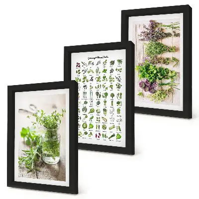 Dried plant herb list triptych framed wall art
