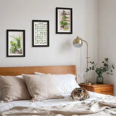 Dried plant herb list triptych framed wall art