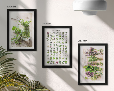 Framed triptych Dried plants for the kitchen herb list
