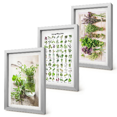 Framed triptych Dried plants for the kitchen herb list