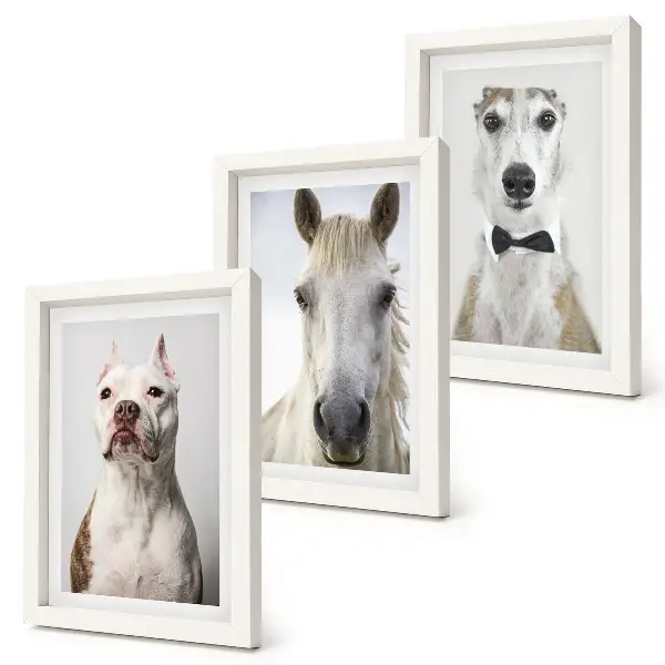 3-piece wall art set featuring elegant portraits of dogs and horses