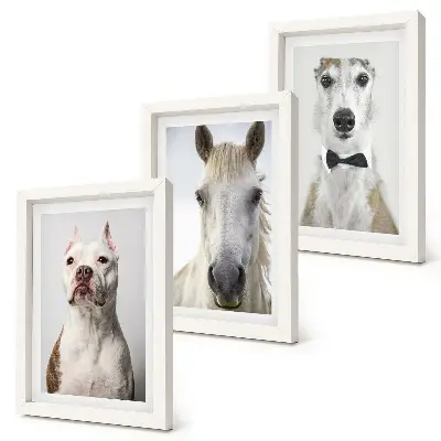 3-piece wall art set featuring elegant portraits of dogs and horses