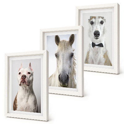 3-piece wall art set Interesting portraits of dogs and horses in an elegant style