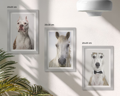 3-piece wall art set Interesting portraits of dogs and horses in an elegant style