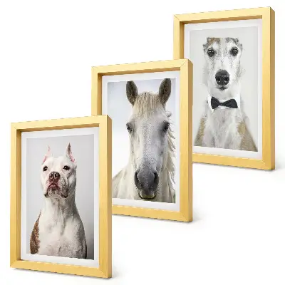 3-piece wall art set featuring elegant portraits of dogs and horses