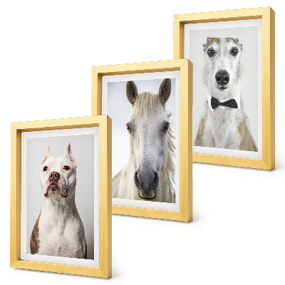 3-piece wall art set Interesting portraits of dogs and horses in an elegant style