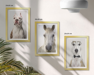 3-piece wall art set Interesting portraits of dogs and horses in an elegant style