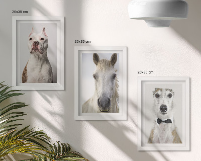 3-piece wall art set Interesting portraits of dogs and horses in an elegant style