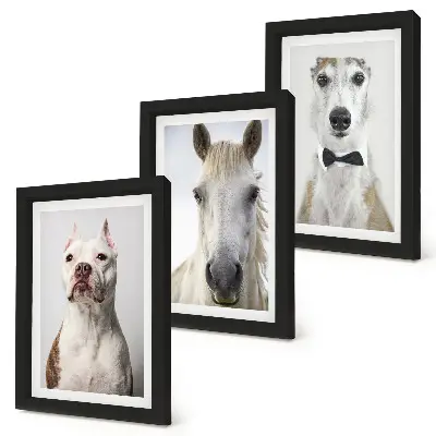 3-piece wall art set featuring elegant portraits of dogs and horses