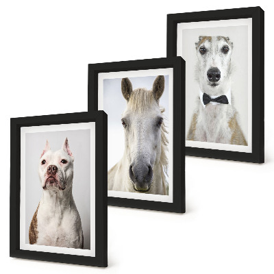3-piece wall art set Interesting portraits of dogs and horses in an elegant style