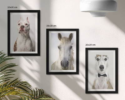 3-piece wall art set Interesting portraits of dogs and horses in an elegant style