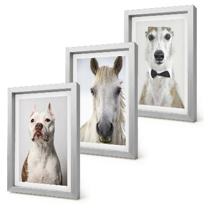 3-piece wall art set Interesting portraits of dogs and horses in an elegant style