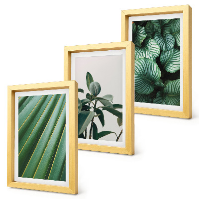 3-piece wall art set Aesthetic tropical leaves in various shades of green