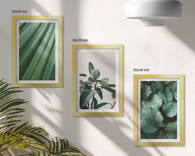 3-piece wall art set Aesthetic tropical leaves in various shades of green