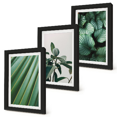 3-piece wall art set Aesthetic tropical leaves in various shades of green