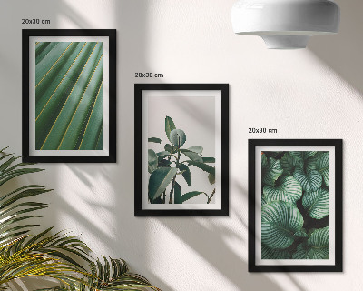 3-piece wall art set Aesthetic tropical leaves in various shades of green