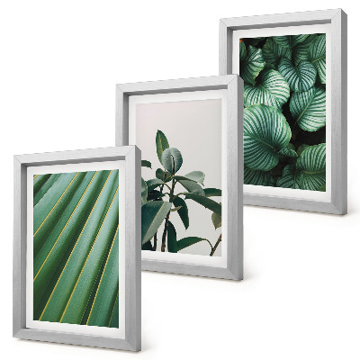 3-piece wall art set Aesthetic tropical leaves in various shades of green