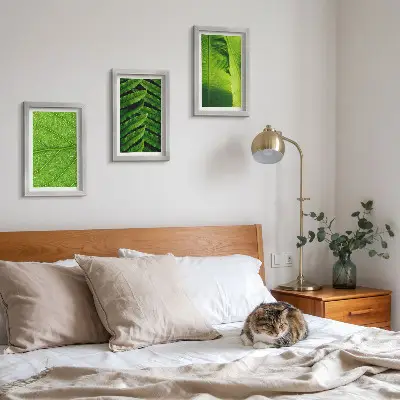 Photo frame wall with tropical leaves close-up motifs