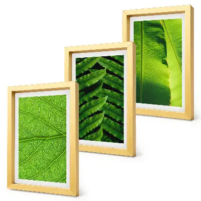 Photo frame wall with tropical leaves close-up motifs