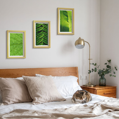 Photo frame wall Close-ups of tropical leaves