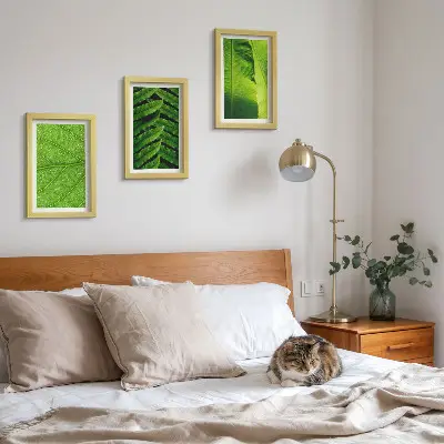 Photo frame wall with tropical leaves close-up motifs