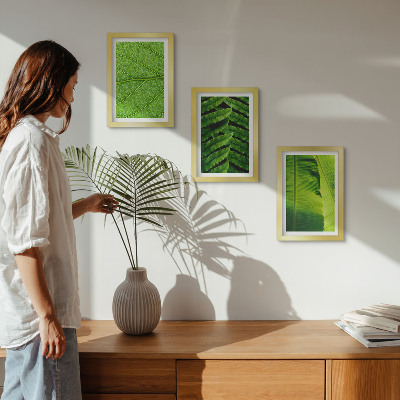 Photo frame wall Close-ups of tropical leaves