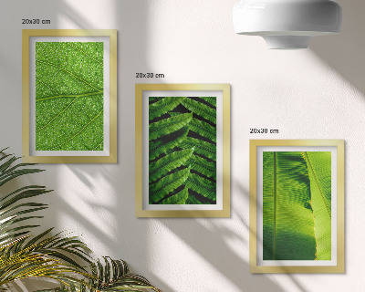 Photo frame wall Close-ups of tropical leaves