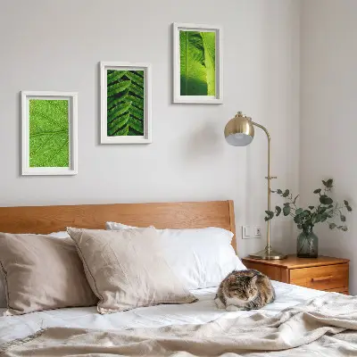 Photo frame wall with tropical leaves close-up motifs