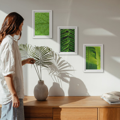 Photo frame wall Close-ups of tropical leaves