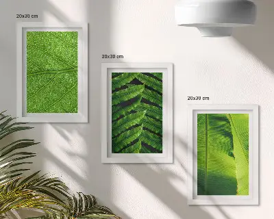 Photo frame wall with tropical leaves close-up motifs