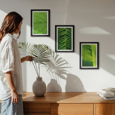 Photo frame wall Close-ups of tropical leaves