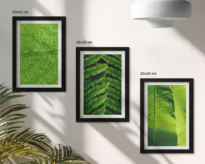 Photo frame wall with tropical leaves close-up motifs