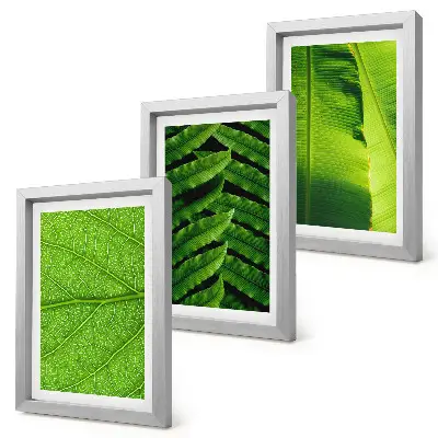 Photo frame wall with tropical leaves close-up motifs
