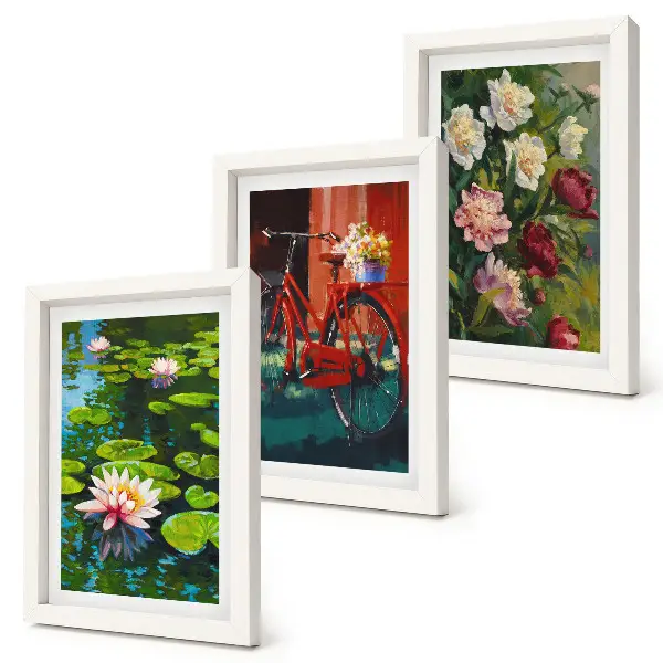 Framed triptych wall art lilies on the water, bicycle in the garden, and colorful flowers