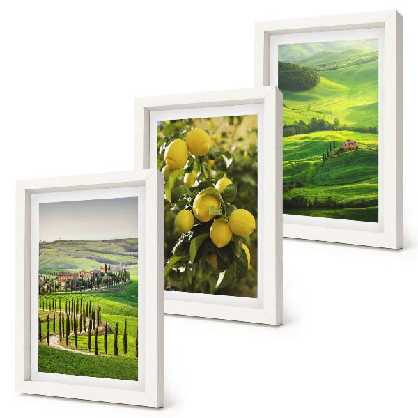 Photo frame wall Italian landscapes with citrus trees and green hills