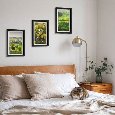 Photo frame wall Italian landscapes with citrus trees and green hills