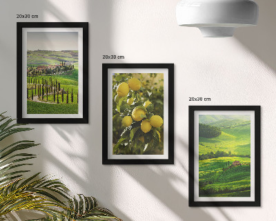 Photo frame wall Italian landscapes with citrus trees and green hills