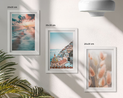 Photo frame wall Sea view sunset colorful houses flowers