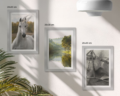 3-piece wall art set White horses by the river nature landscape