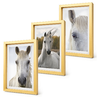 3-piece wall art set White horses in various poses against a natural background