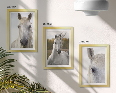 3-piece wall art set White horses in various poses against a natural background