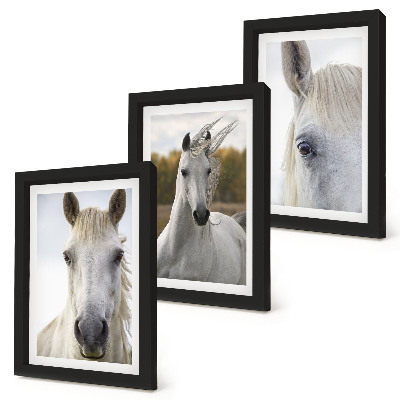 3-piece wall art set White horses in various poses against a natural background